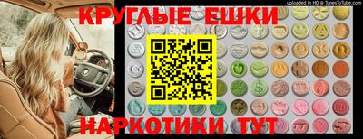 скорость Сланцы